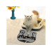 Paws & Whiskers Vorleger Matte Katze Kdkafa0127