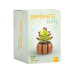 Brixies Plus Mini Blume Venus