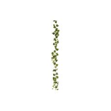 Botanic-Haus Efeugirlande Grün 180 cm