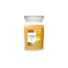 Yankee Candle Signature Duftkerze Starfruit & Sunshine Signature Large Jar