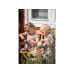 dantoy Green Garden Tee-Set dantoy Green Garden Tee-Set