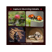 Smallrig RM 03 Makro-Foto-LED-Leuchte für Miniaturen 2er-Pack