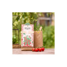 Die Stadtgärtner Anzuchtset Wildtomate Die Stadtgärtner Anzuchtset Wildtomate