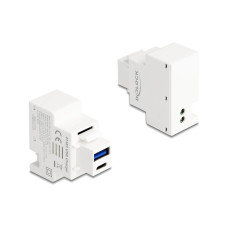 Delock Keystone-Modul 2 Pin Terminalblock zu USB Typ-A-C PD 20 W