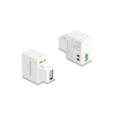 Delock Keystone-Modul 2 Pin Terminalblock zu USB Typ-A