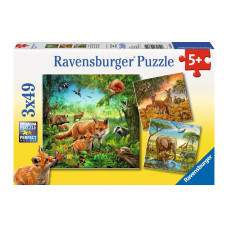 Ravensburger Puzzle Tiere der Erde 3 x 49 Teile mit Mini-Postern