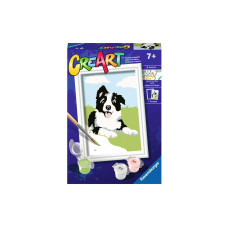 Ravensburger Malen nach Zahlen Border Collie mit Acrylfarben Ravensburger Malen nach Zahlen Border Collie mit Acrylfarben