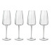 Luigi Bormioli Sektglas Optica 21 cl, 4 Stück, Transparent
