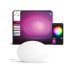 Philips Hue Tischleuchte Flourish RGBW 810 lm Weiss