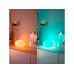 Philips Hue Tischleuchte Flourish RGBW 810 lm Weiss