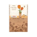 Rolife Bausatz Orange Tulip Orange