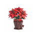 Rolife Bausatz Poinsettia Weihnachtsstern