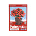 Rolife Bausatz Poinsettia Weihnachtsstern