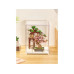 Rolife Bausatz Display box 250 x 249 x 310 mm Transparent