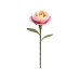 ROKR Bausatz Pink Camellia 3D-Puzzle ROKR Bausatz Pink Camellia 3D-Puzzle