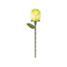 ROKR Bausatz Green Rose 3D-Puzzle ROKR Bausatz Green Rose 3D-Puzzle