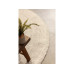 Hanse Home Teppich Rangpur 140 cm x 140 cm