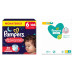 Pampers Nachtwindeln Baby Dry Night Pants Grösse 6 Pampers Nachtwindeln Baby Dry Night Pants Grösse 6
