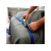 EASYmaxx Spanngurt 500 x 2.5 cm Blau EASYmaxx Spanngurt 500 x 2.5 cm Blau
