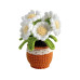 Basteln Häkelset Blume Mehrfarbig Basteln Häkelset Blume Mehrfarbig