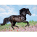 Ravensburger Puzzle Schwarzer Hengst 200 XXL Teile
