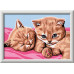 Ravensburger Malen nach Zahlen Katzenfreunde mit Acrylfarben Ravensburger Malen nach Zahlen Katzenfreunde mit Acrylfarben