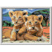 Ravensburger Malen nach Zahlen Kleine Löwenbabys Acrylfarben