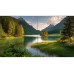 Philips Videowall Display X-Line 55BDL8007X 55