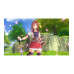 Flashpoint Trails in the Sky 2nd Chapter [NSW] (D) (Box)