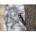 Sony Zoomobjektiv FE 100-400mm F/4.5 GM OSS Sony E-Mount