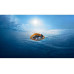 HOVERAir Quadrokopter AQUA Standard (C0 | CE) HOVERAir Quadrokopter AQUA Standard (C0 | CE)