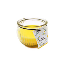 Pajoma Gartenkerze Citronella 80 g Pajoma Gartenkerze Citronella 80 g