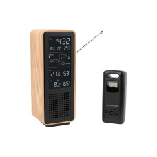 Thomson WS102 Bluetooth-Lautsprecher, UKW-Radio, Holz