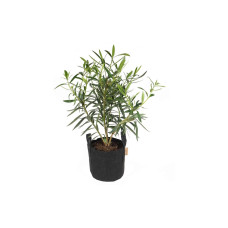 Gorilla Gardening Pflanzsack Schwarz Gorilla Gardening Pflanzsack Schwarz