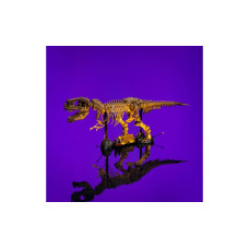Light My Bricks Licht Set für Dinosaur Fossils: Tyrannosaurus Rex, 76968 Light My Bricks Licht Set für Dinosaur Fossils: Tyrannosaurus Rex, 76968