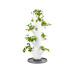 Gusta Garden Aufzuchttöpfe SISSI STRAWBERRY Starterset, Weiss