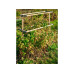 Gusta Garden BERRY BUDDY modulare Beerenrankhilfe Braun Gusta Garden BERRY BUDDY modulare Beerenrankhilfe Braun