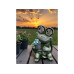 Dameco Gartenlicht Solar Schildkröte