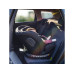 Fairgo Kindersitz Adore i-Size Black Sand Fairgo Kindersitz Adore i-Size Black Sand