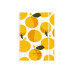 Simplex Wochenagenda Harmony 2027 1 Woche/2 Seiten, Birds