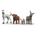 Schleich Bauernhof Babys Spielfiguren-Set Schleich Bauernhof Babys Spielfiguren-Set