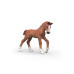 Schleich 81480 Kinderspielzeugfigur Kunststoff mehrfarbig Schleich 81480 Kinderspielzeugfigur Kunststoff mehrfarbig