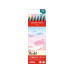 Caran d'Ache Filzstift Set Fibralo Brush Pastel mit 6 Farben