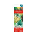 Caran d'Ache Filzstift Set Fibralo Brush Botani 6-teilig