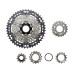 Shimano Velokassette XT CS-M8200 12-Gang Micro Spline 9-45 Zähne