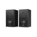 Audizio Regallautsprecher Paar BS20 50W, BT, Akku, Anthrazit