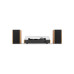 Audizio Plattenspieler RP335BB mit Lautsprecher, bambus Hellbraun