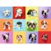 Ravensburger Puzzle Welpen-Pop-Out Ravensburger Puzzle Welpen-Pop-Out