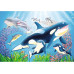 Ravensburger Puzzle Kunterbunte Unterwasserwelt 2 x 24 Teile