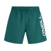 O'NEILL LOGO 16 SWIMSHORTS Gr. XL, Dunkelgrün